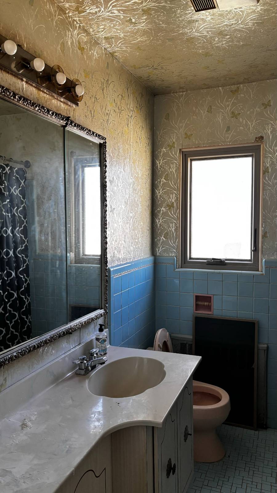 #8 photo, 53-21 254, Little Neck , NY 11362