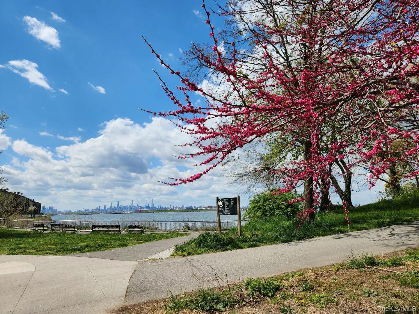 #3 photo, 11516 Poppenhusen Avenue, College Point , NY 11356