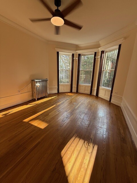 #17 photo, Brooklyn, Flatbush , NY 11226