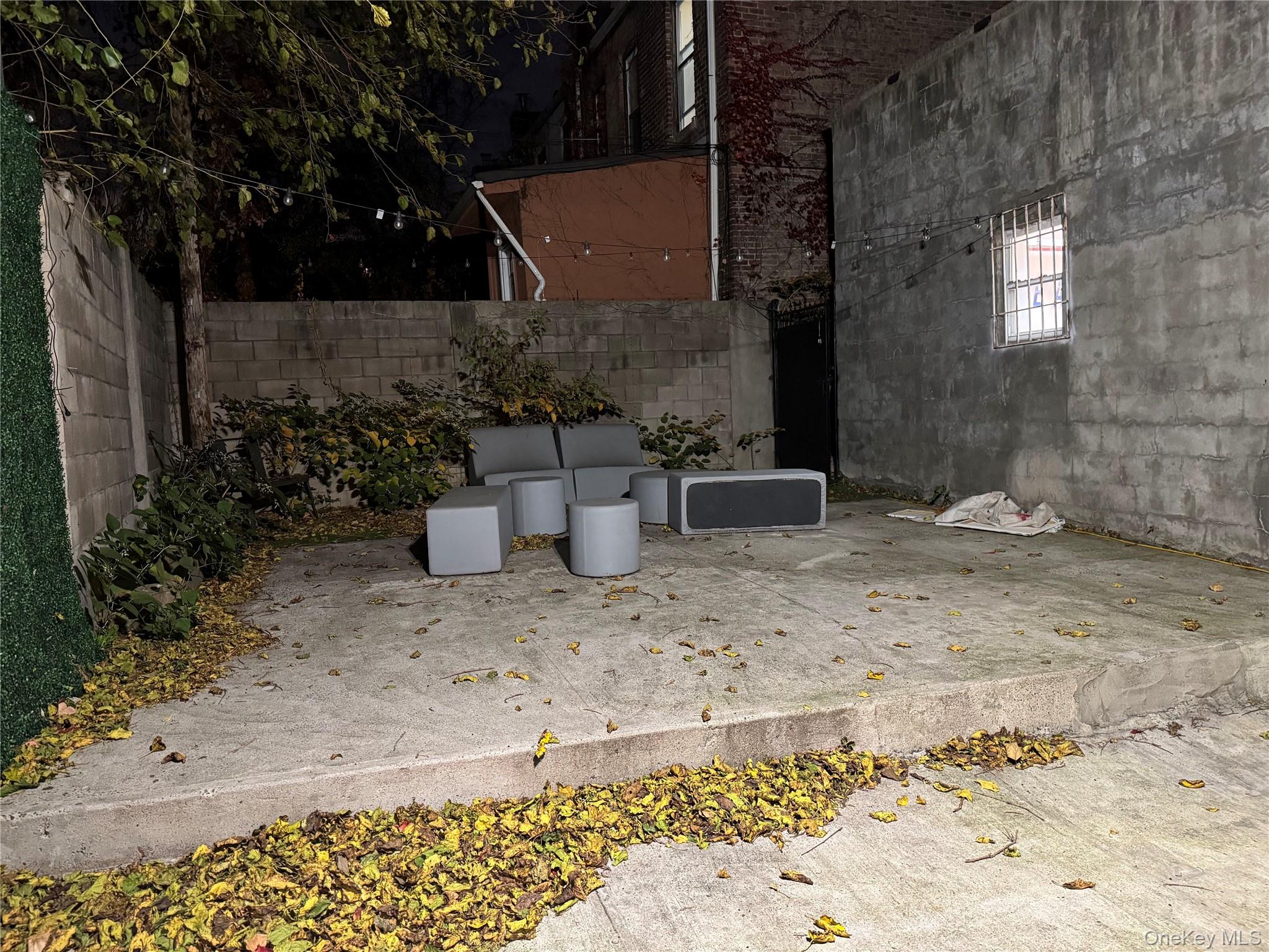 #9 photo, 2313 Tilden Avenue, Brooklyn , NY 11226