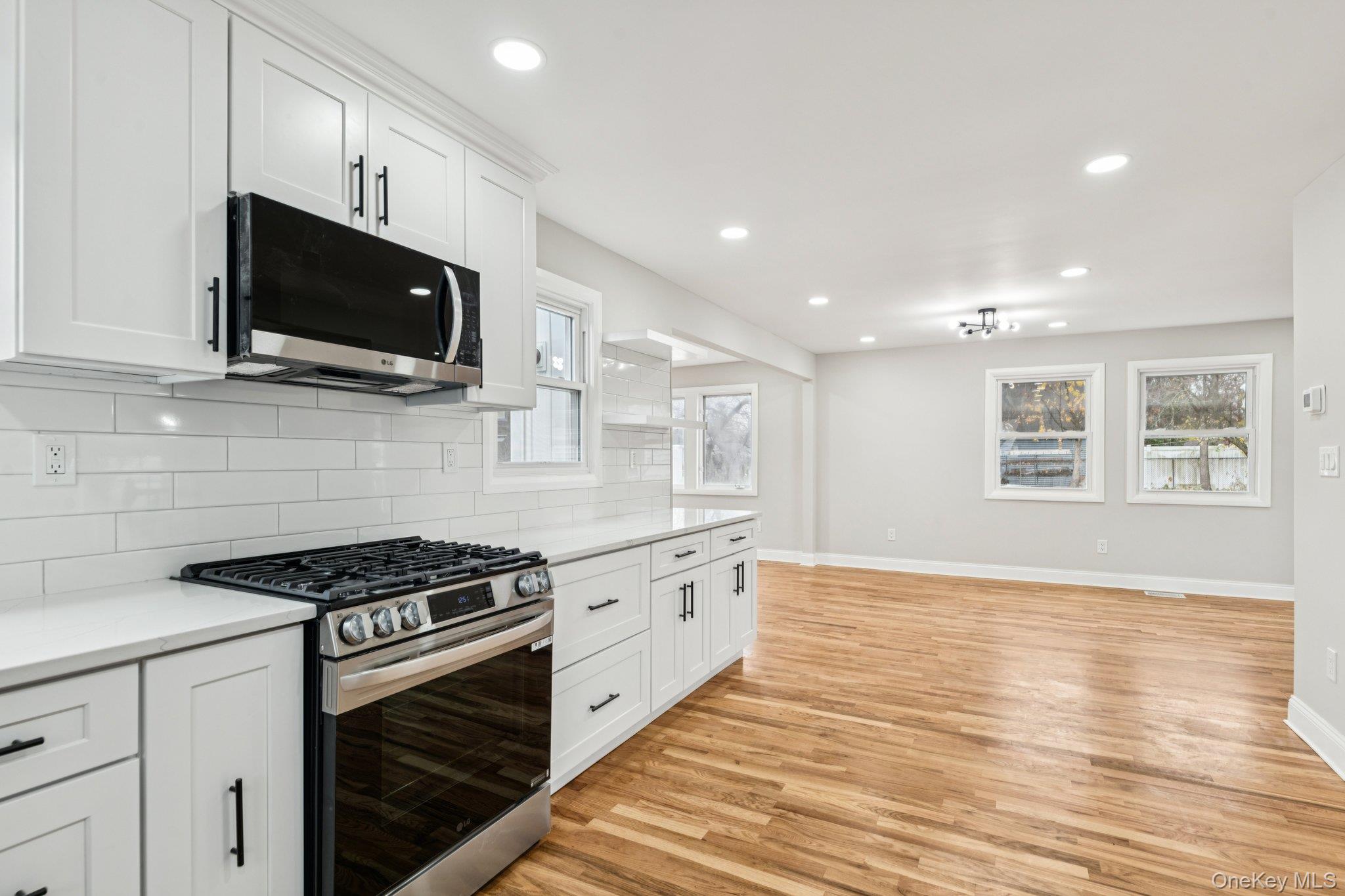 #15 photo, 41 leyden Street, Huntington Station , NY 11746