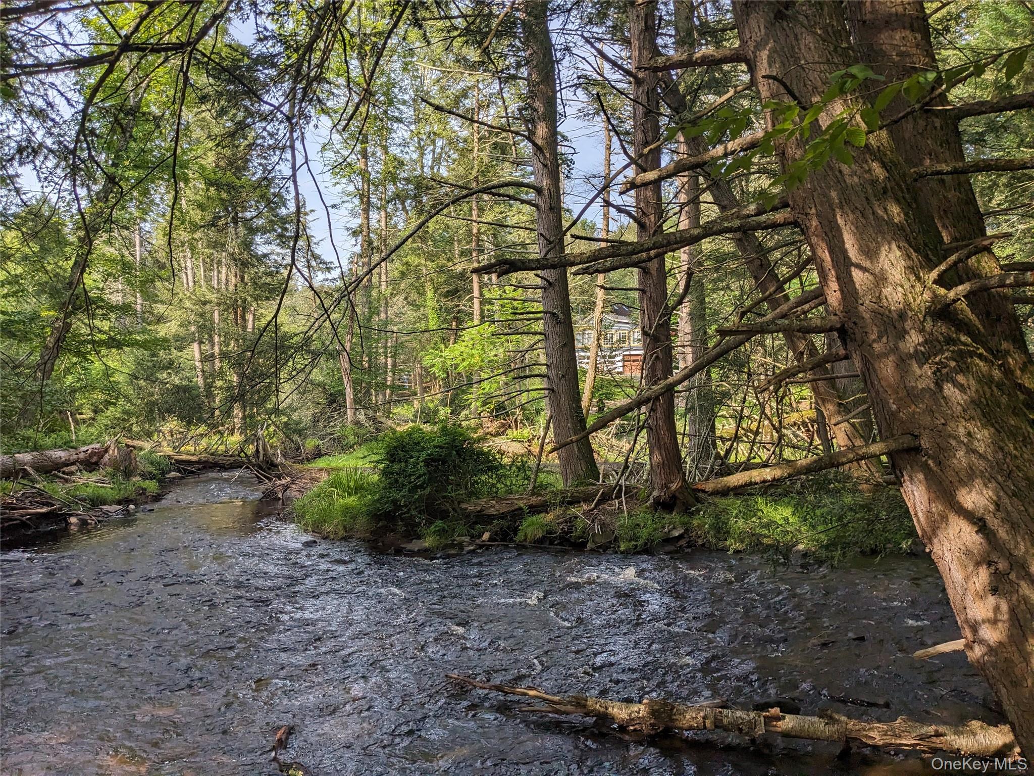 #7 photo, 24 N Mohican Trail, Smallwood , NY 12778