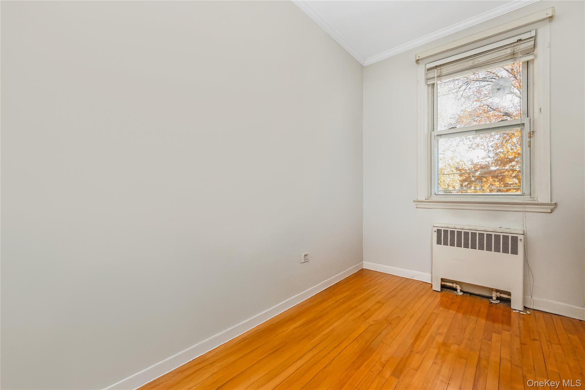 #11 photo, Middle Village, Middle Village , NY 11379