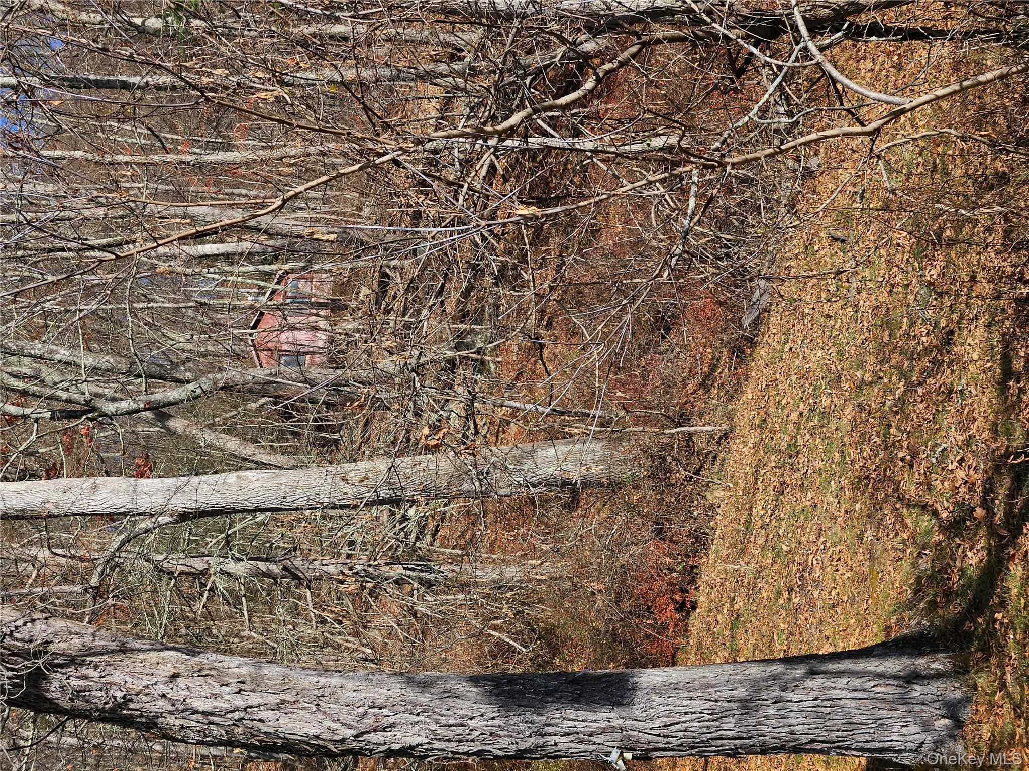 #3 photo, Rt-97, Glen Spey , NY 12737