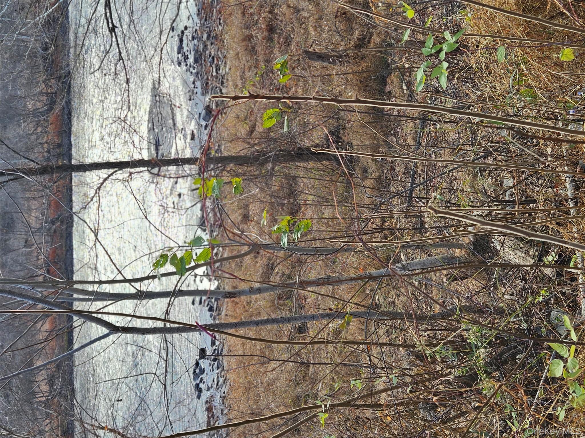 #5 photo, Rt-97, Glen Spey , NY 12737