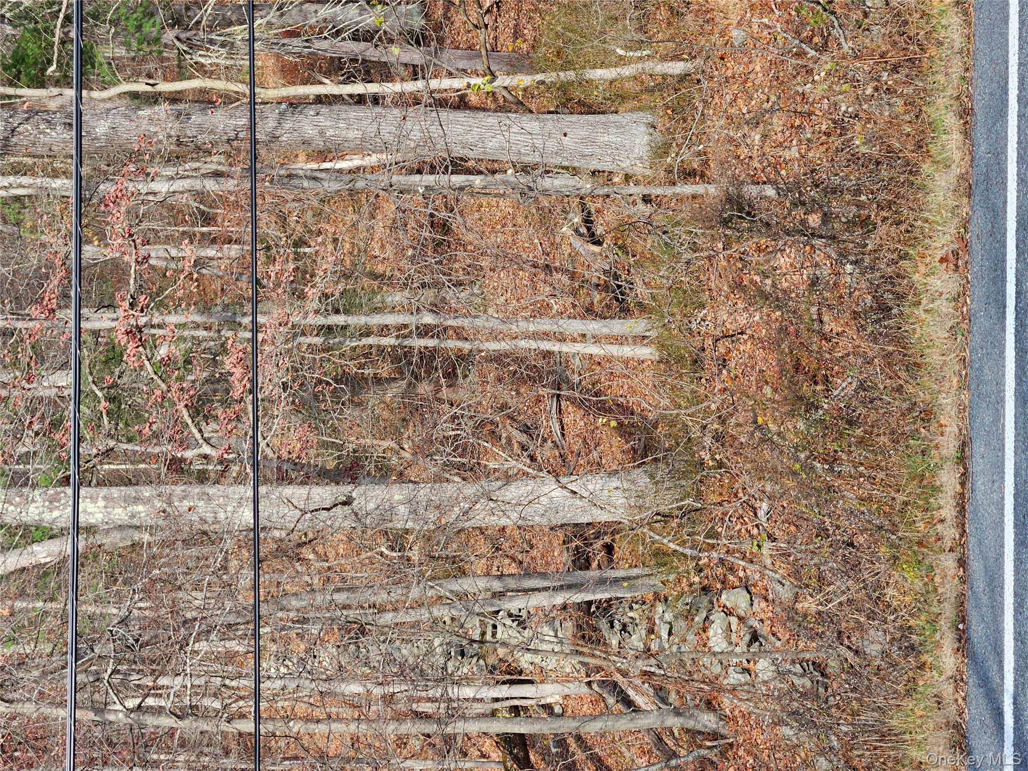 #6 photo, Rt-97, Glen Spey , NY 12737