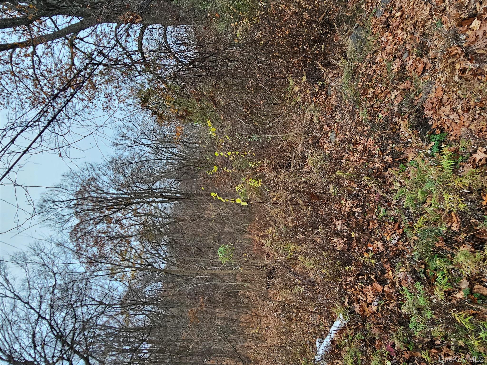 #1 photo, 73 Sylvan Trail, Blooming Grove , NY 10950