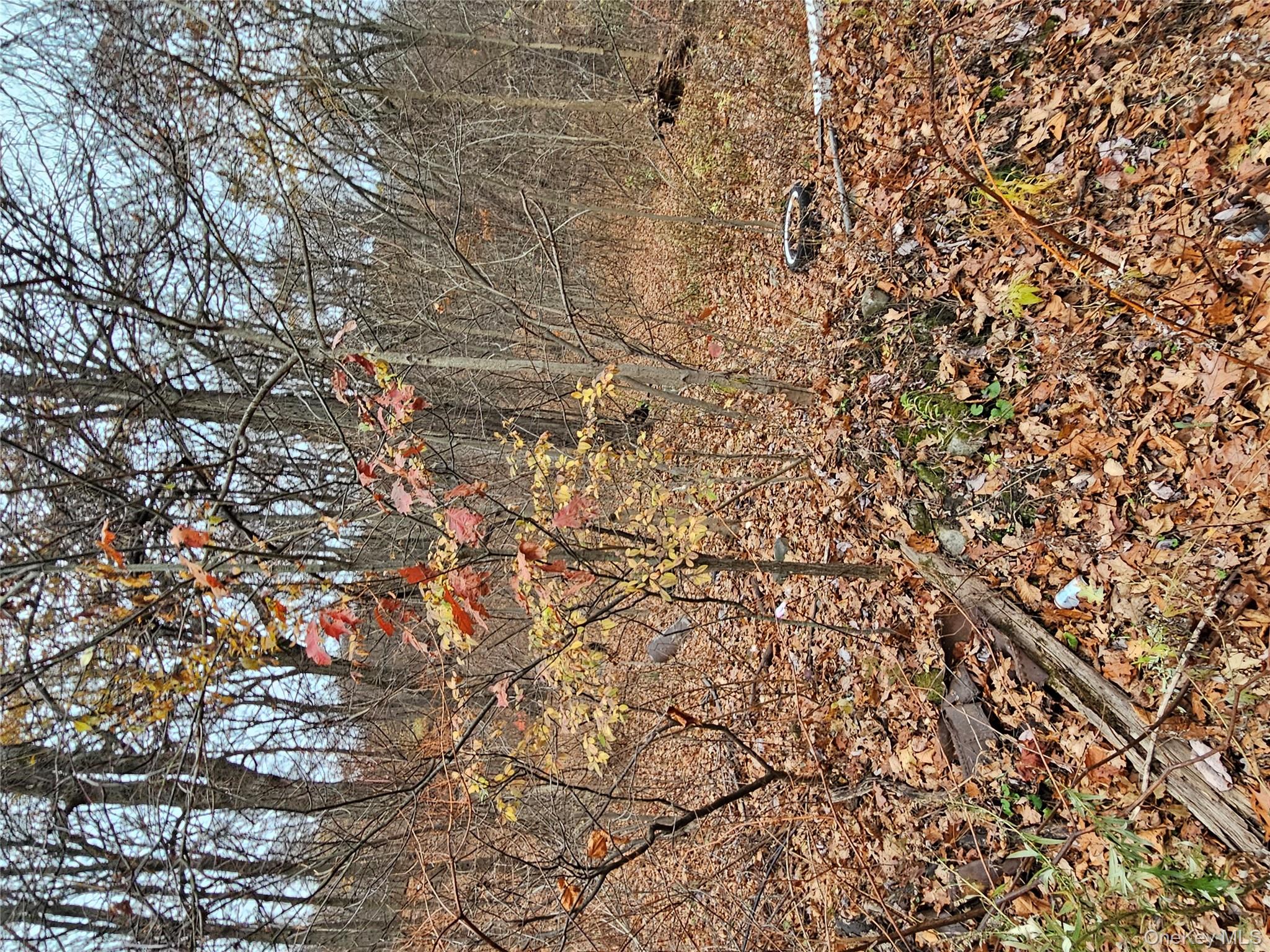 #2 photo, 73 Sylvan Trail, Blooming Grove , NY 10950