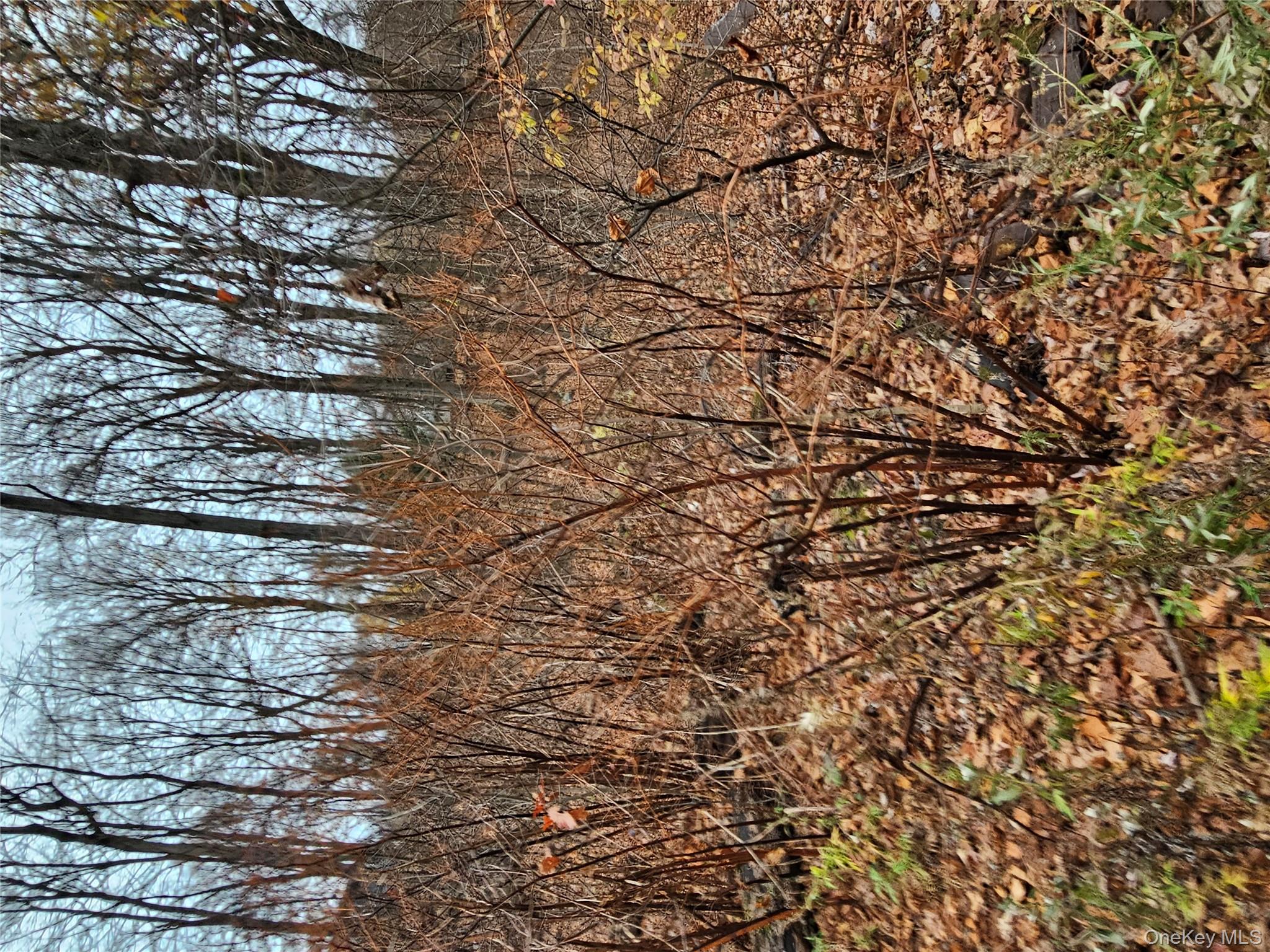 #3 photo, 73 Sylvan Trail, Blooming Grove , NY 10950