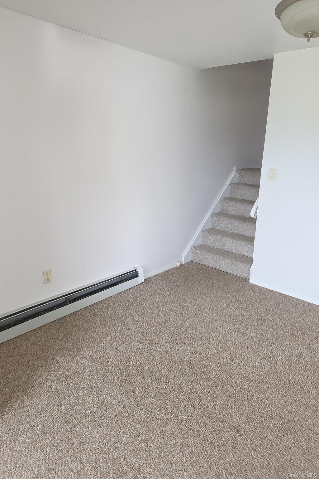 #14 photo, 2460 Batchelder Street, Brooklyn , NY 11235