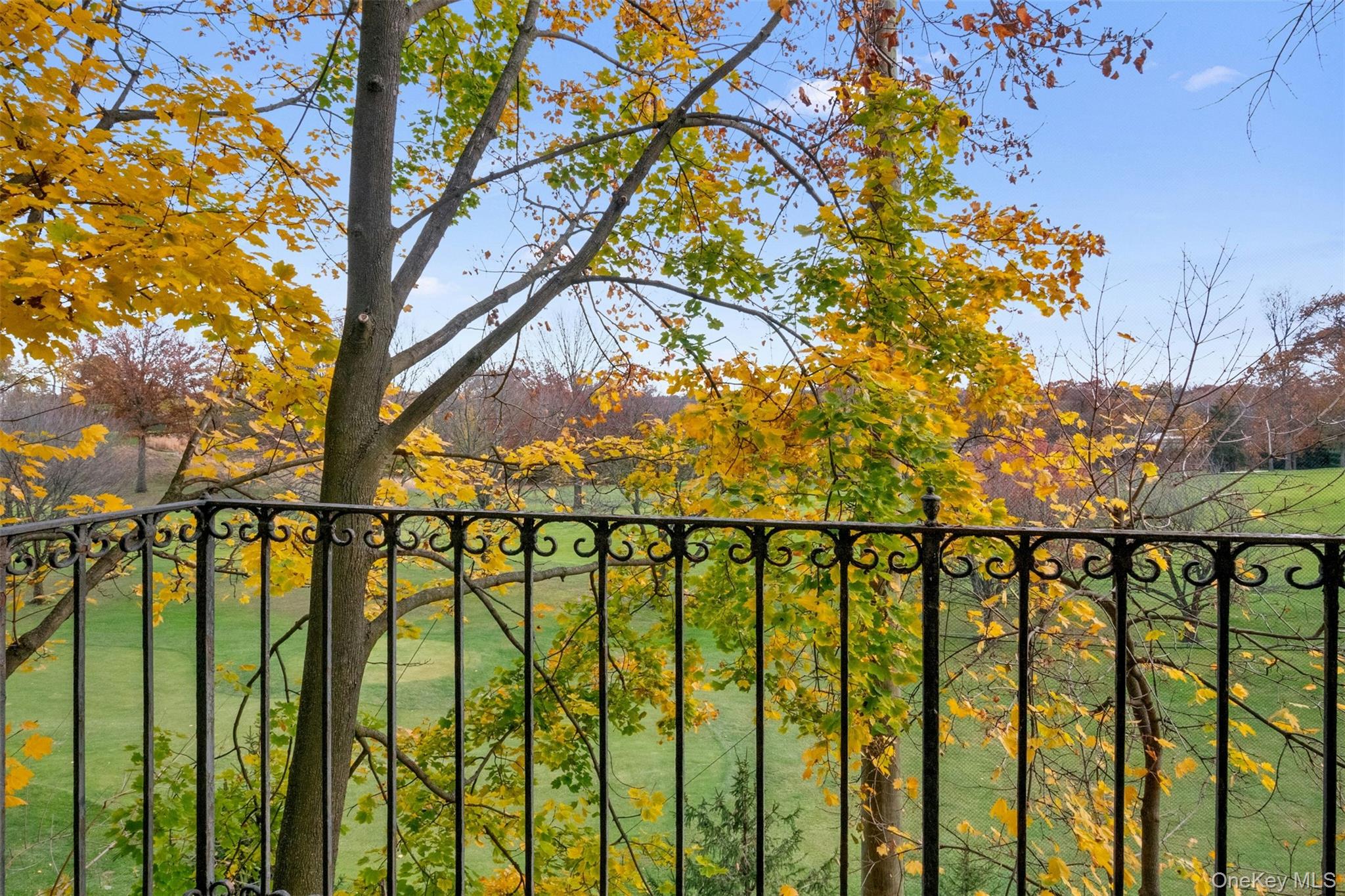 #20 photo, 4810 Boston Post Road, Pelham , NY 10803