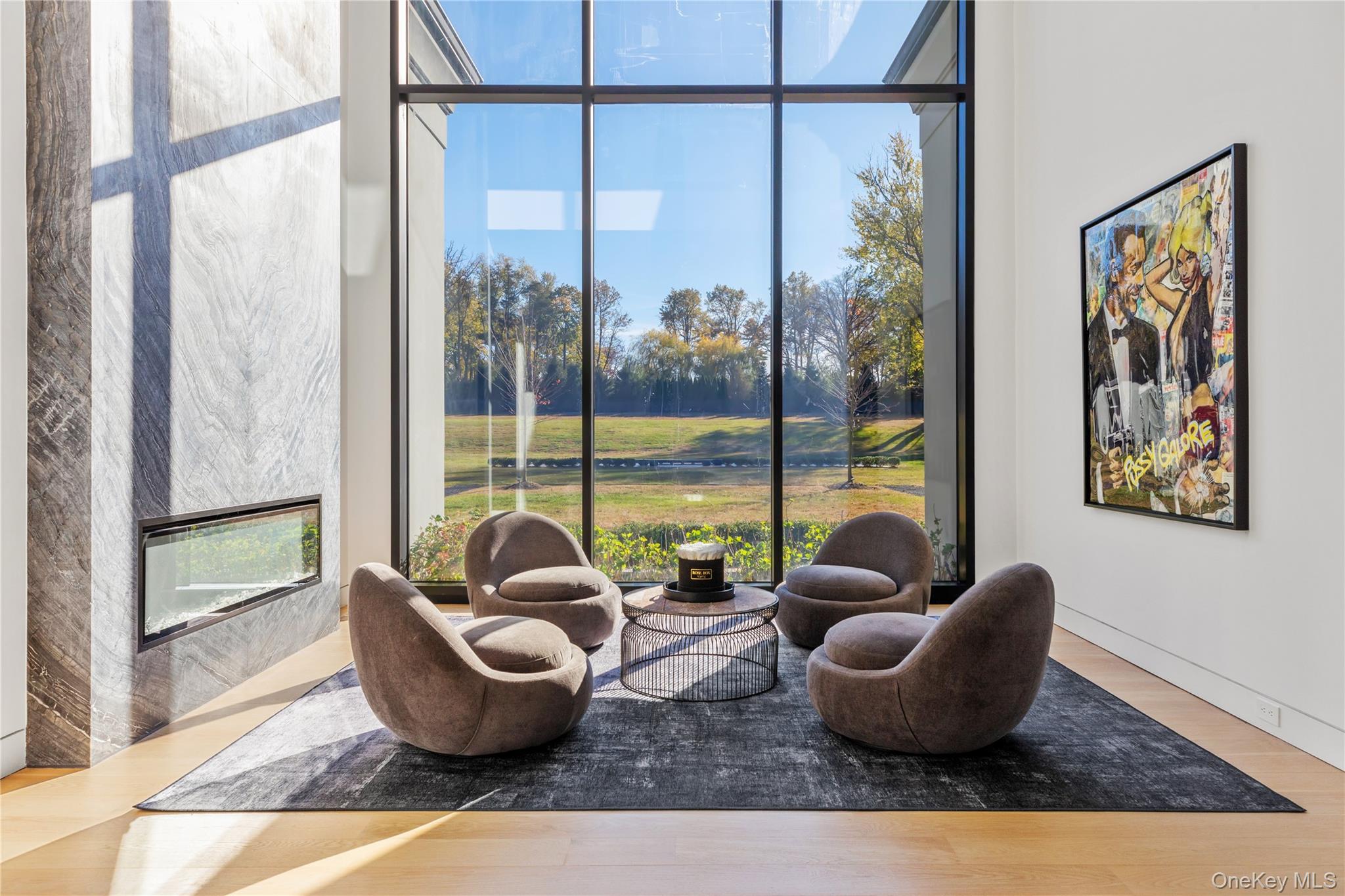 #6 photo, Lattingtown Road, Locust Valley , NY 11560