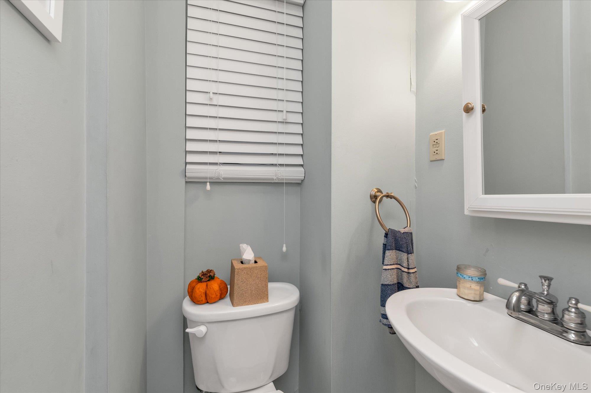 #11 photo, 29 Orleans Road, Valley Stream , NY 11581