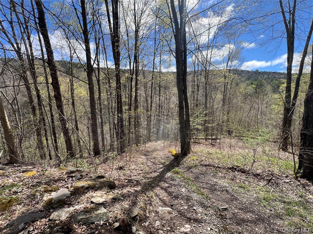 #3 photo, 1042 Huntley Hollow Road, Delancey , NY 13752