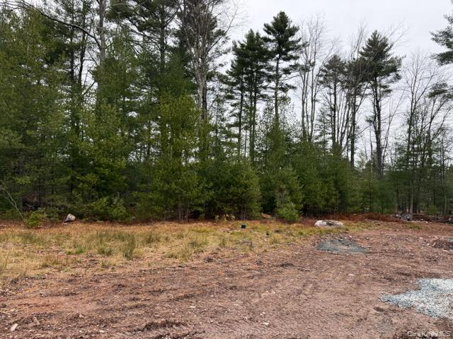 #20 photo, 2757 State Route 42, Forestburgh , NY 12777