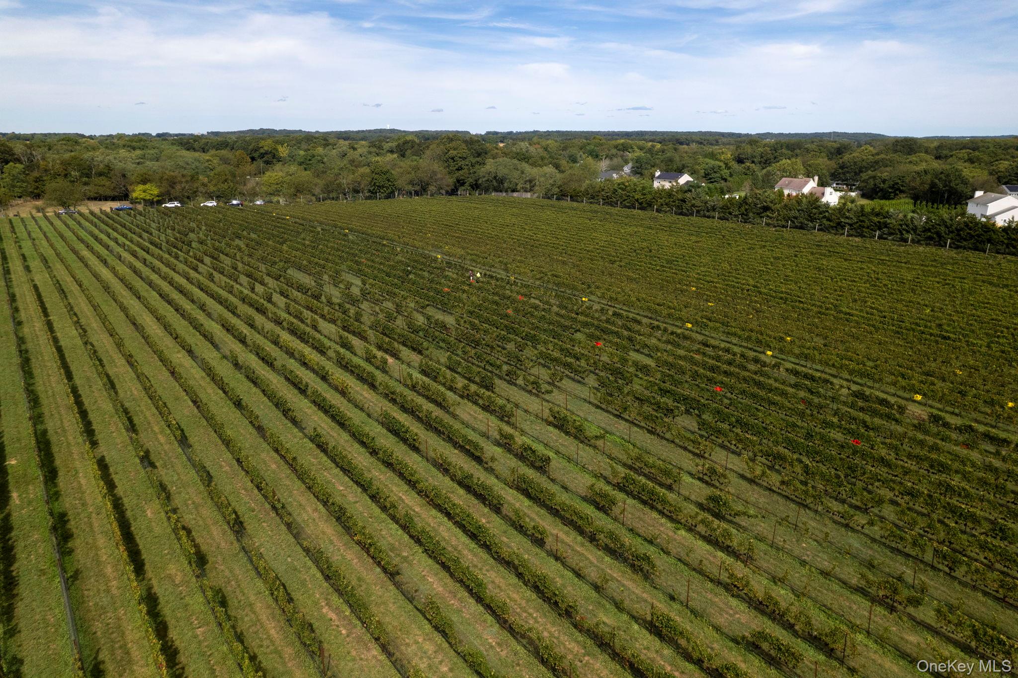 #1 photo, 156 Youngs Avenue, Calverton , NY 11933