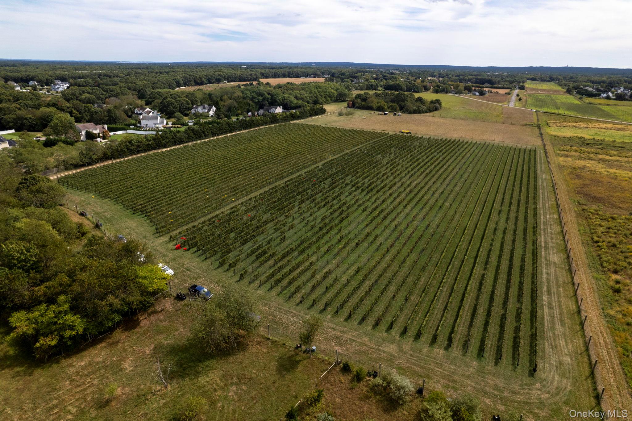 #10 photo, 156 Youngs Avenue, Calverton , NY 11933