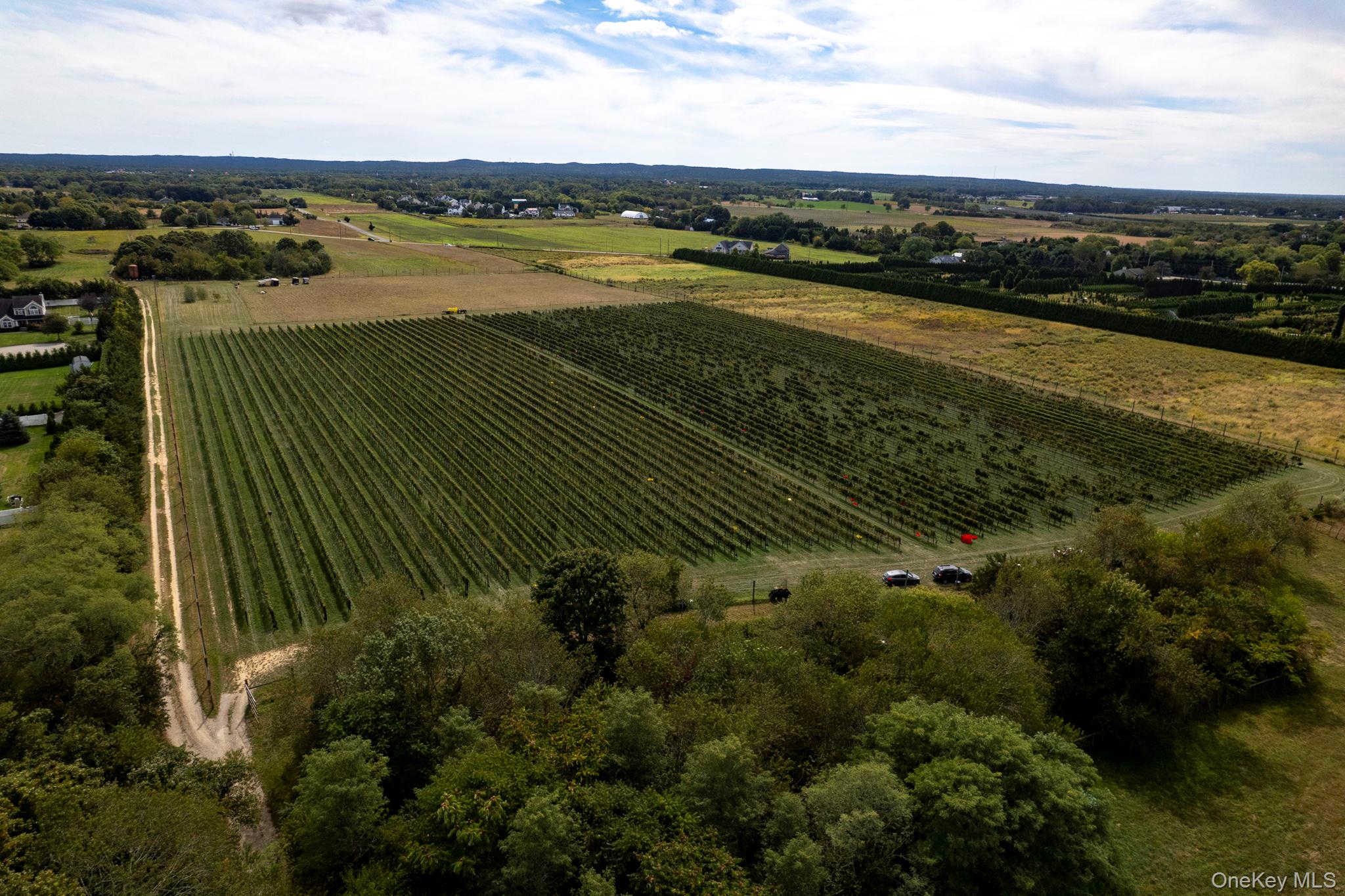 #13 photo, 156 Youngs Avenue, Calverton , NY 11933