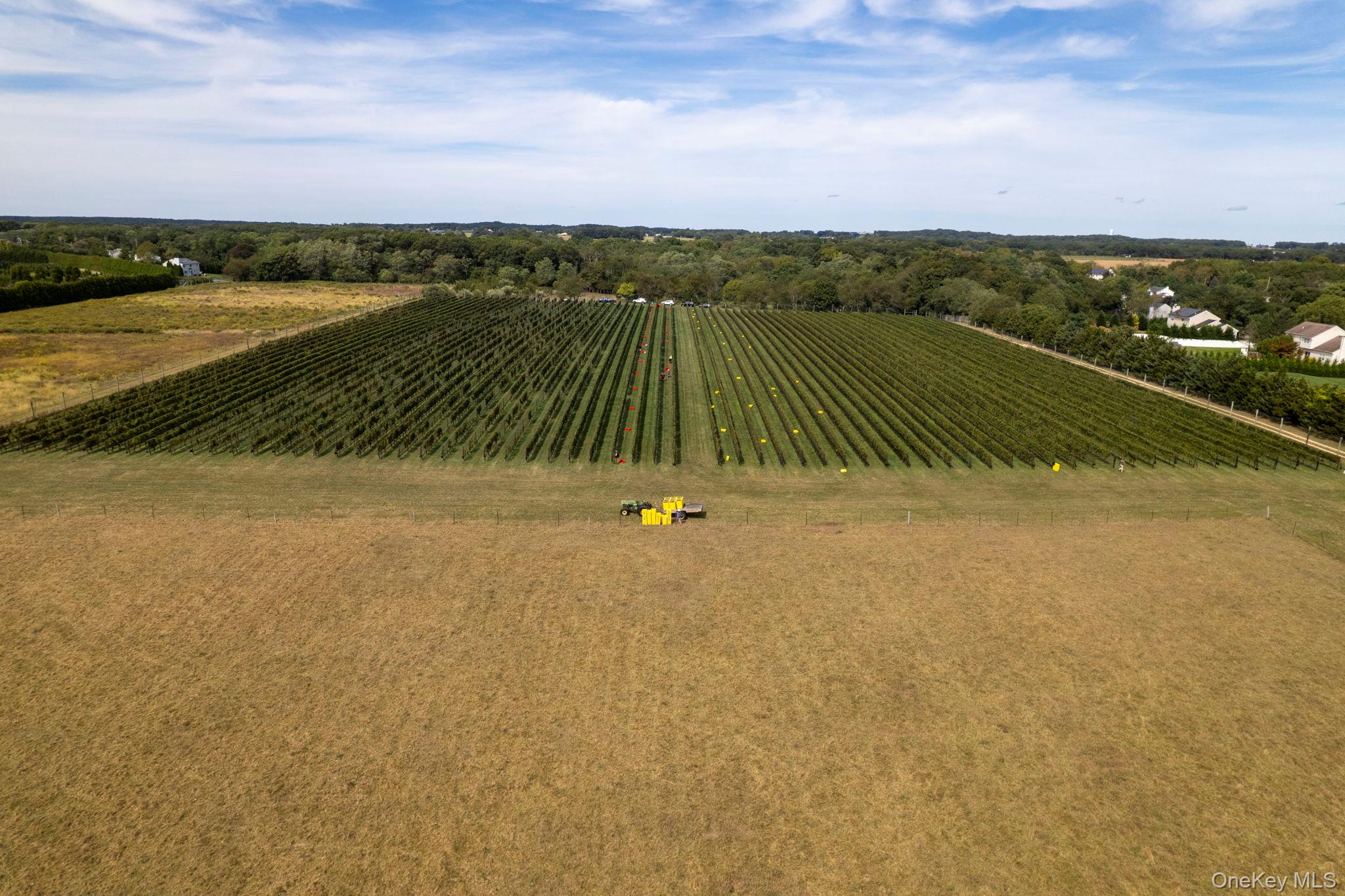 #16 photo, 156 Youngs Avenue, Calverton , NY 11933