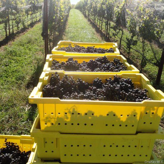 #18 photo, 156 Youngs Avenue, Calverton , NY 11933