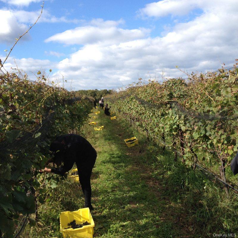 #19 photo, 156 Youngs Avenue, Calverton , NY 11933