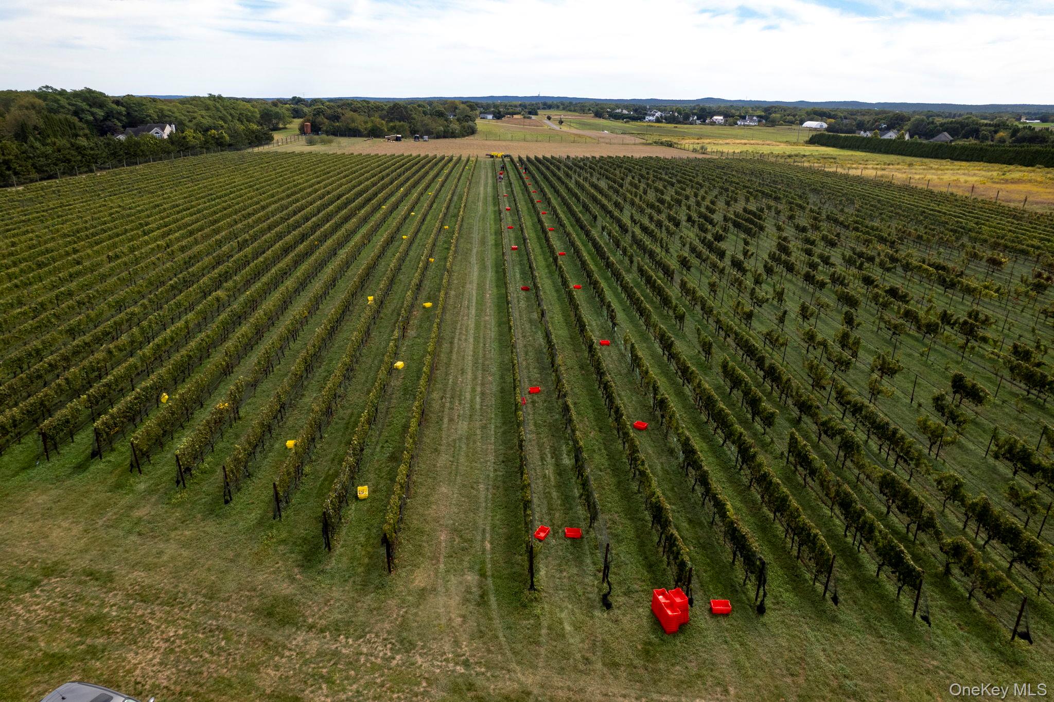 #2 photo, 156 Youngs Avenue, Calverton , NY 11933