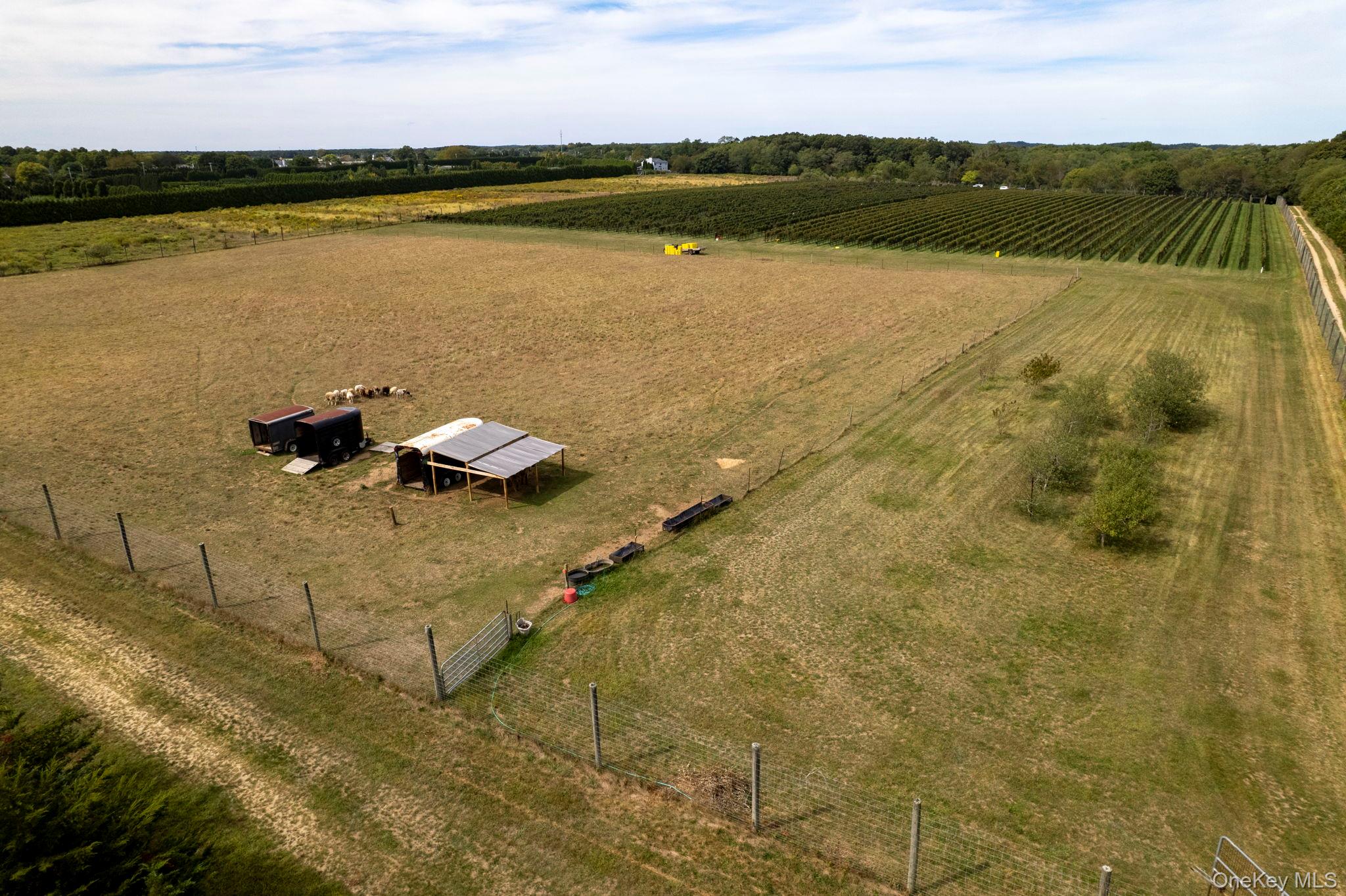 #4 photo, 156 Youngs Avenue, Calverton , NY 11933