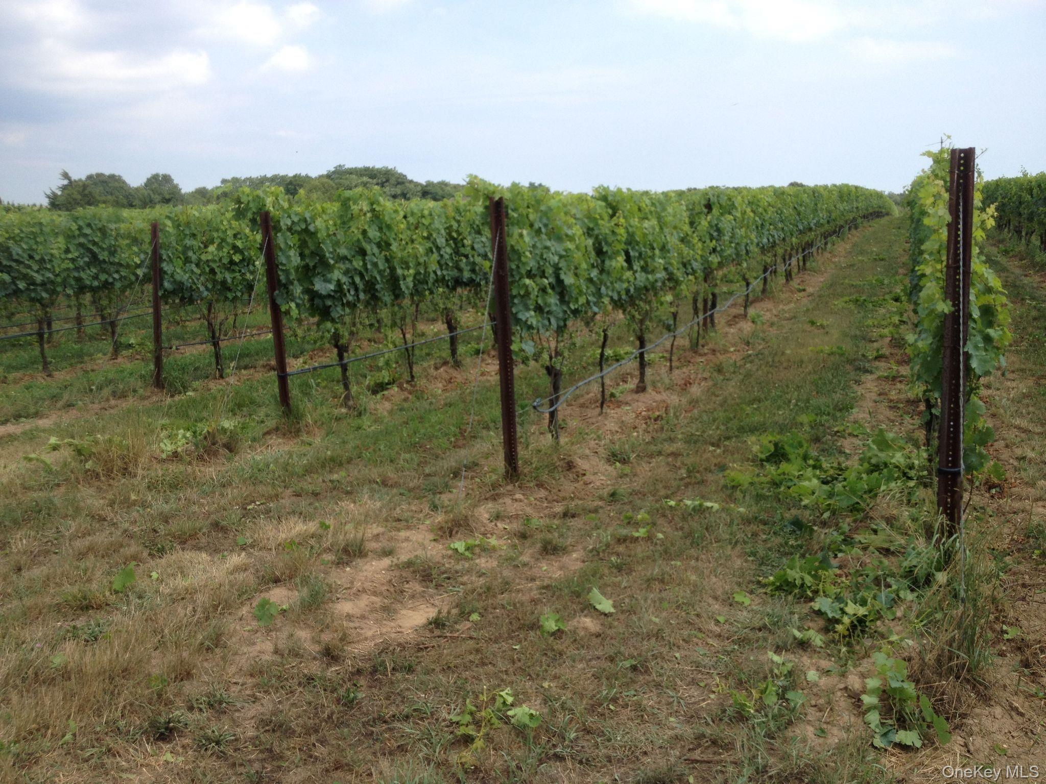 #5 photo, 156 Youngs Avenue, Calverton , NY 11933