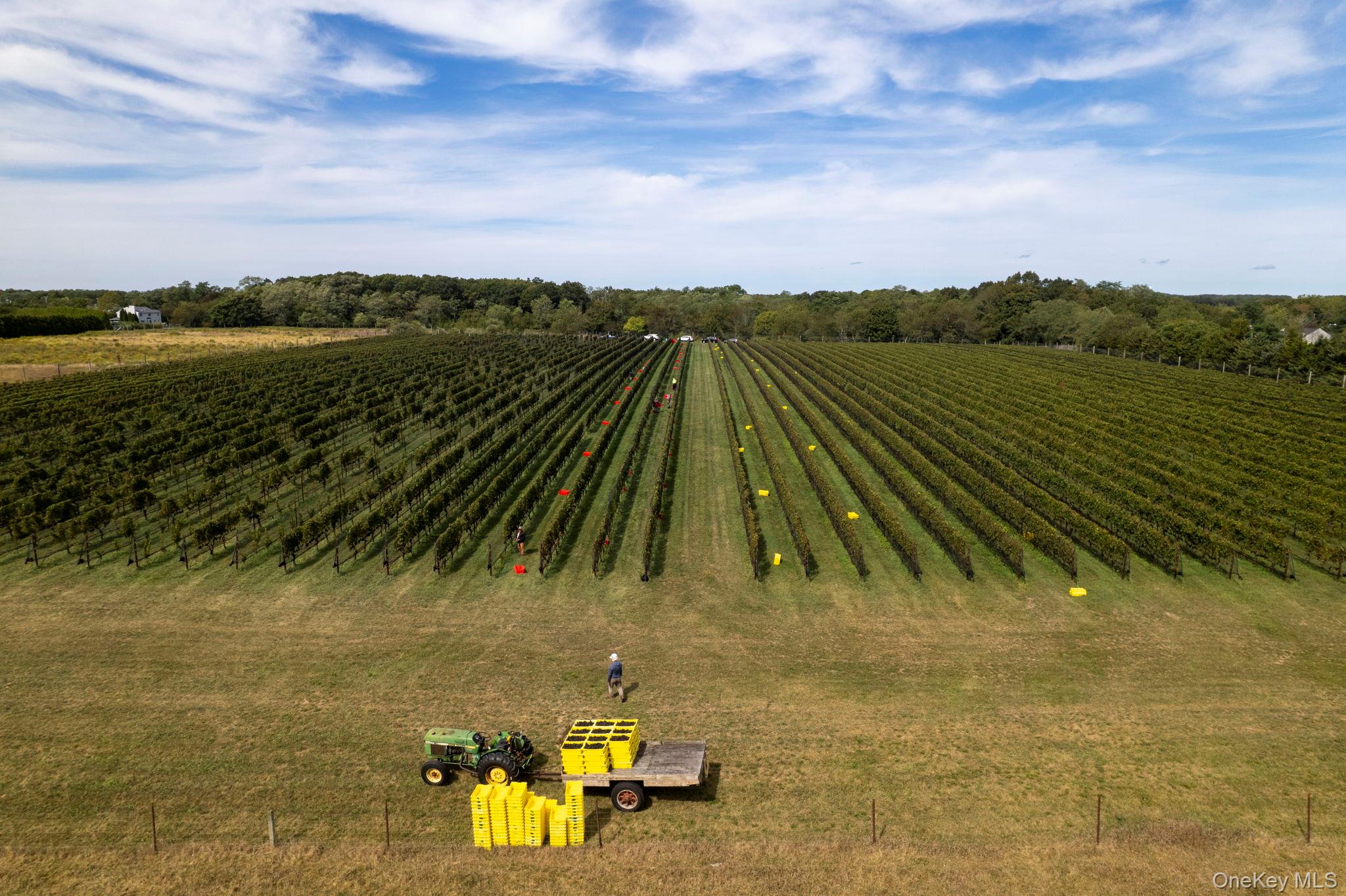 #9 photo, 156 Youngs Avenue, Calverton , NY 11933