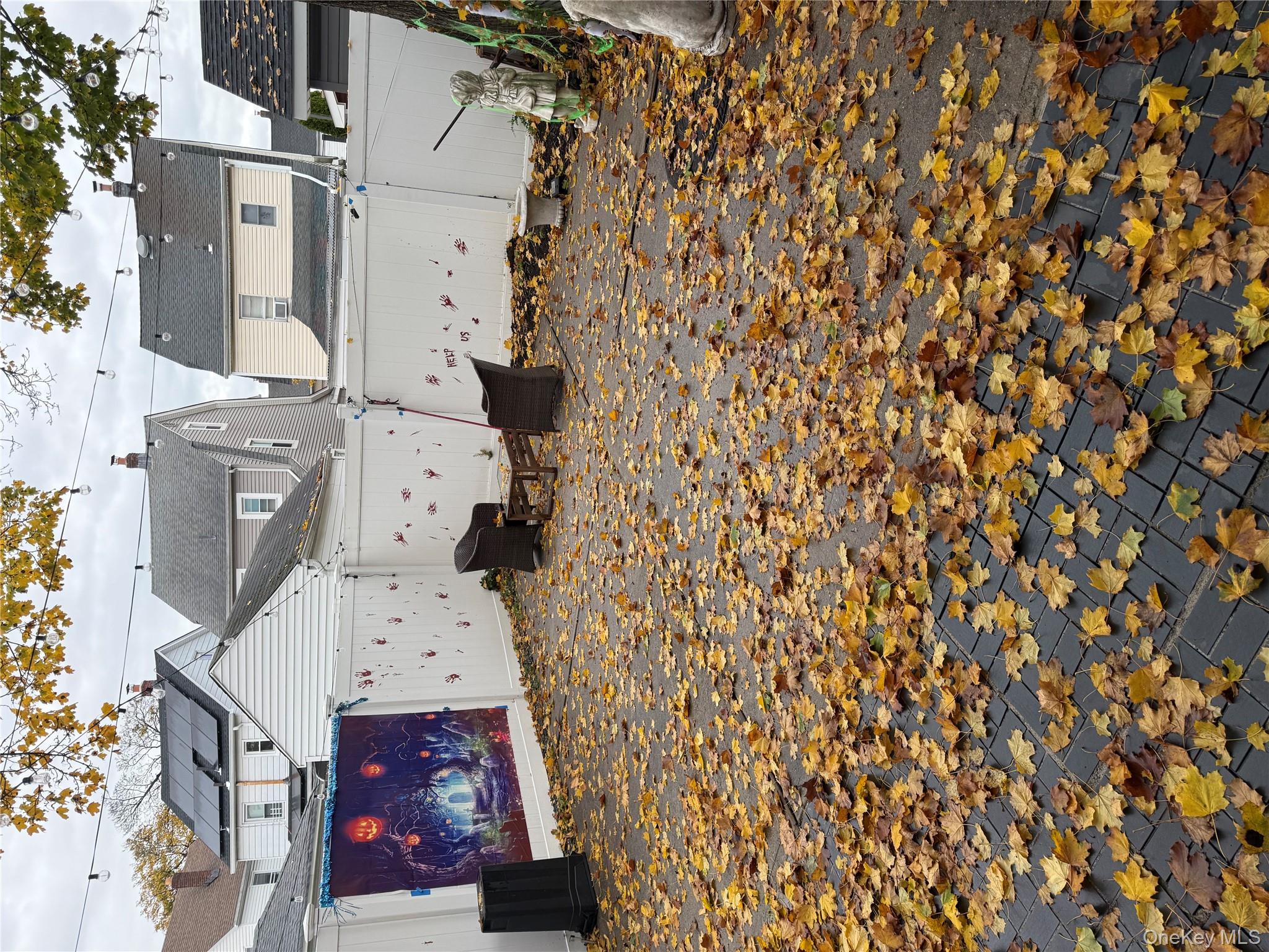 #11 photo, 248-51 Jericho Tpke, Bellerose , NY 11426