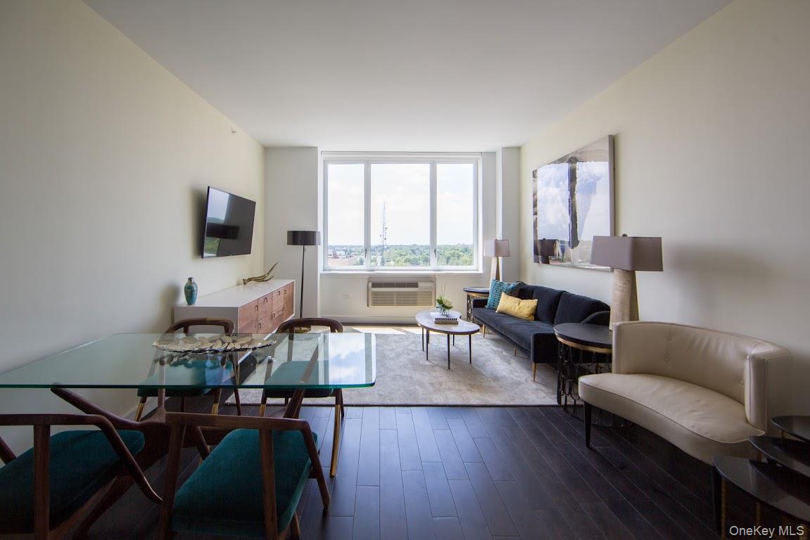 #17 photo, 1 Third, ナッソー郡 Mineola , NY 11501