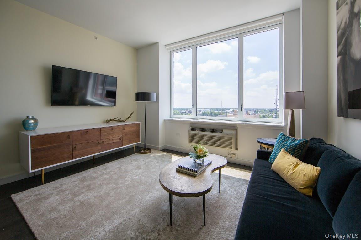 #19 photo, 1 Third, ナッソー郡 Mineola , NY 11501