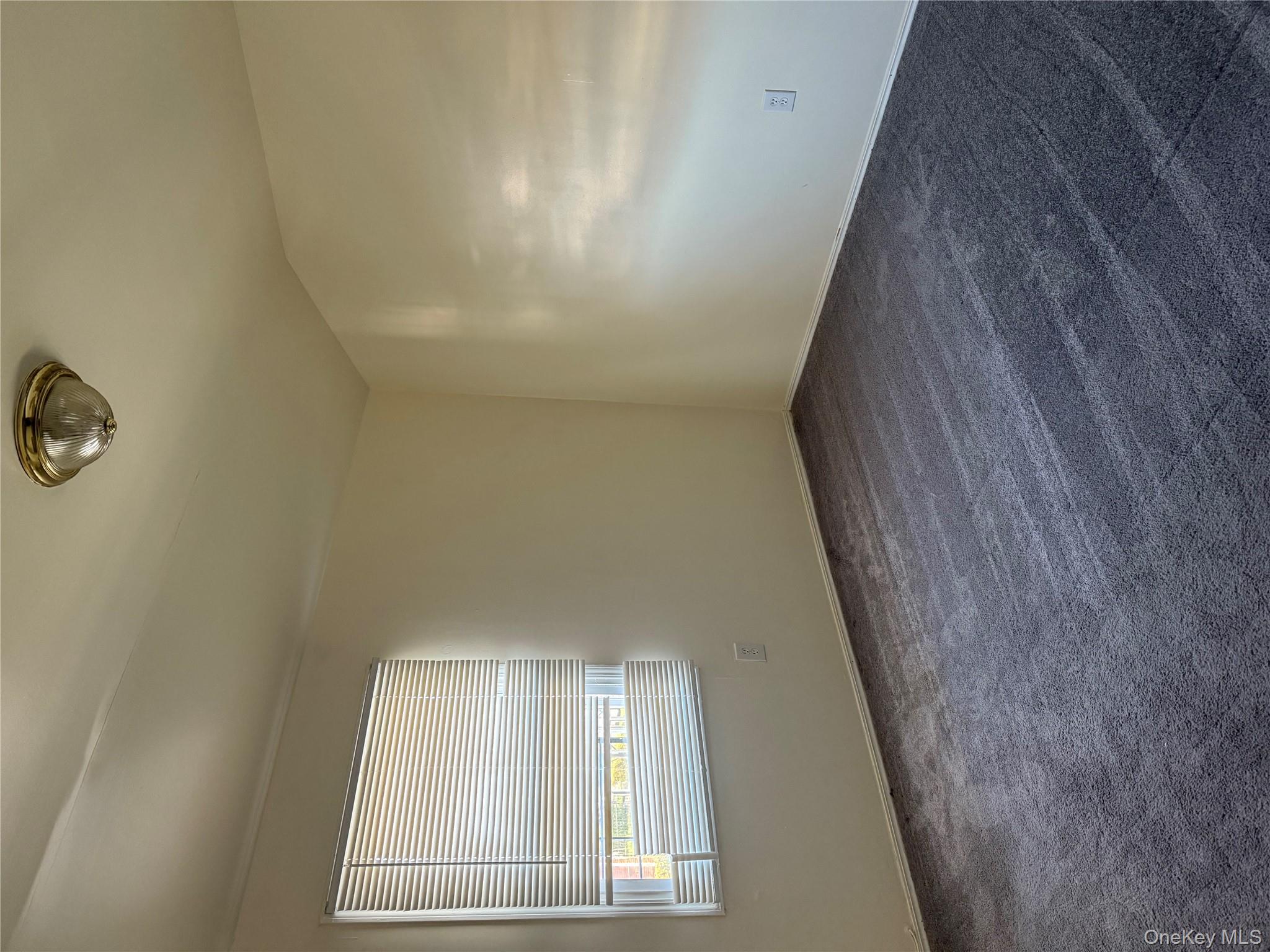 #16 photo, 158-17 134th Avenue, Jamaica , NY 11434