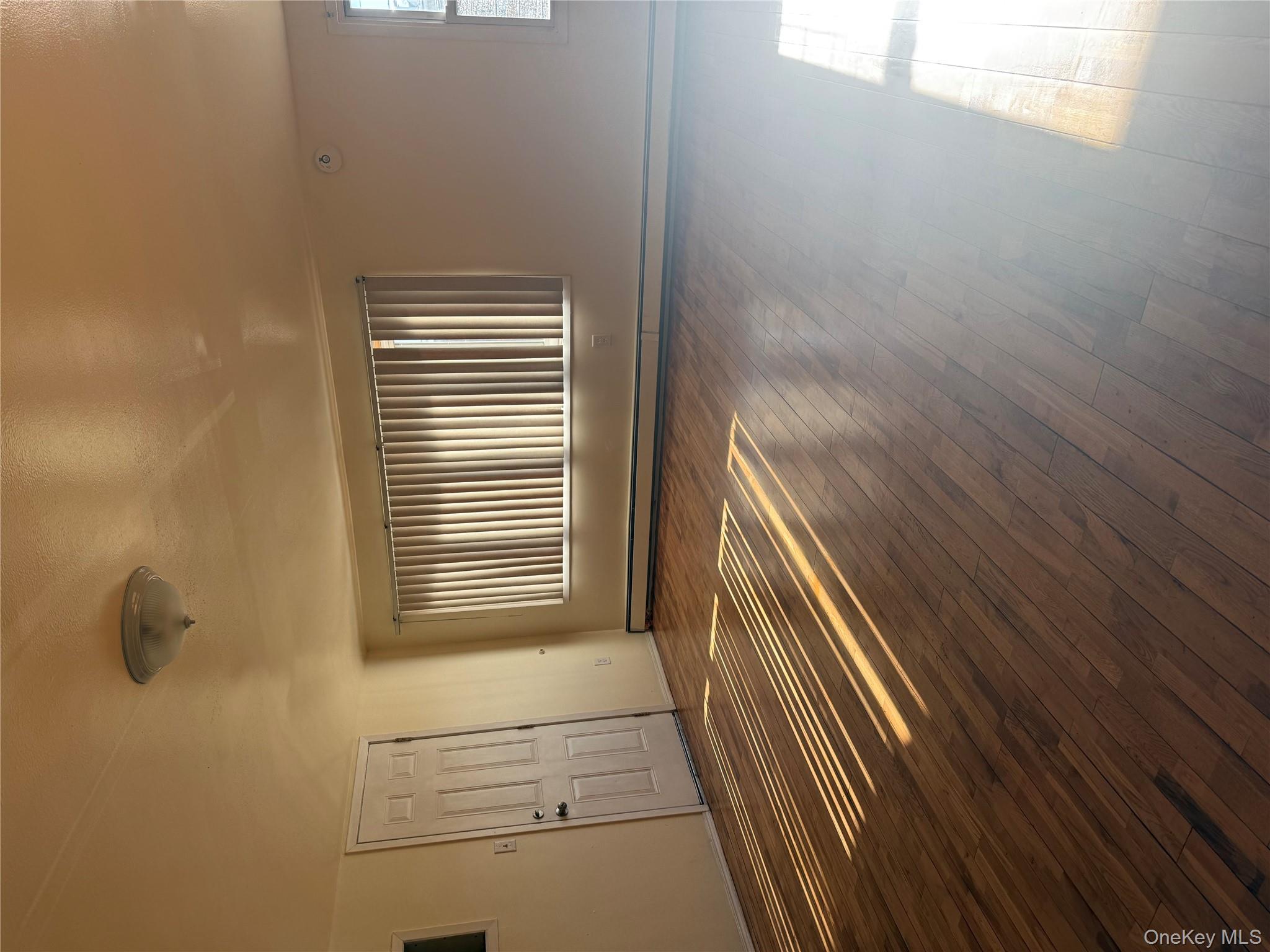 #19 photo, 158-17 134th Avenue, Jamaica , NY 11434