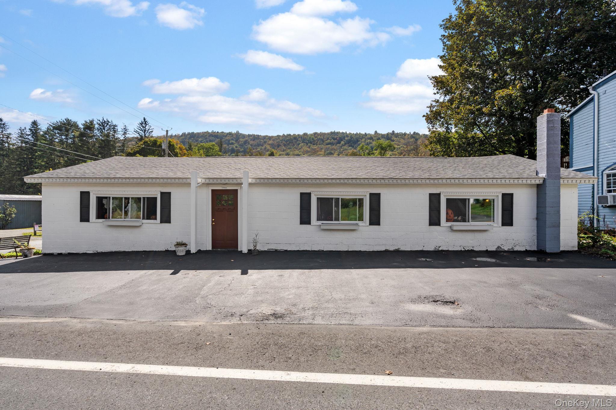 #1 photo, 11625 State Route 97, Long Eddy , NY 12760