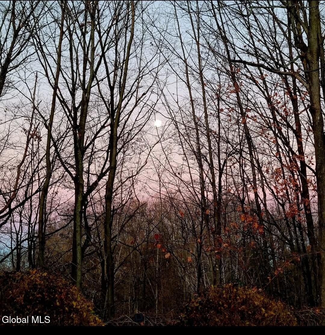 #55 photo, 386-388 Locust Avenue, Amsterdam , NY 12010