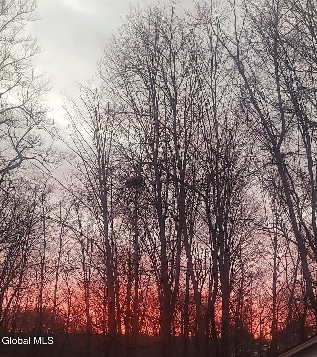 #56 photo, 386-388 Locust Avenue, Amsterdam , NY 12010