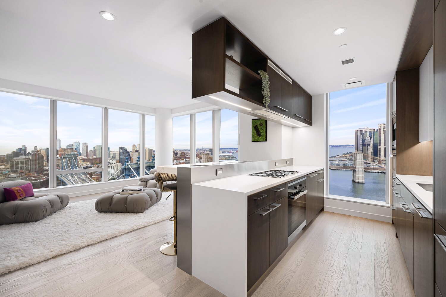 #8 photo, 252 SOUTH Street, Two Bridges , NY 10002