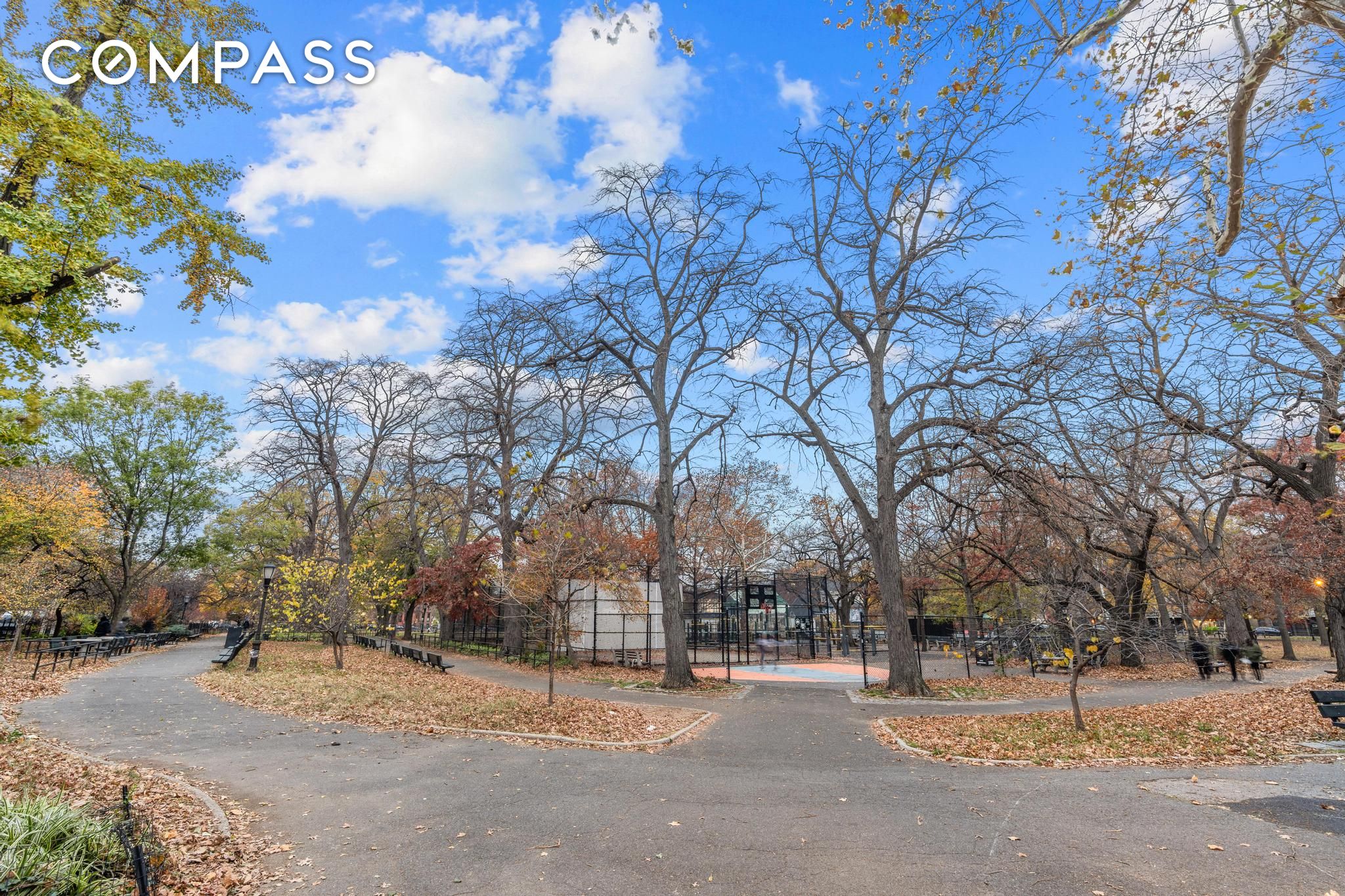 #10 photo, Brooklyn, ブルックリン区 Bedford-Stuyvesant , NY 11216