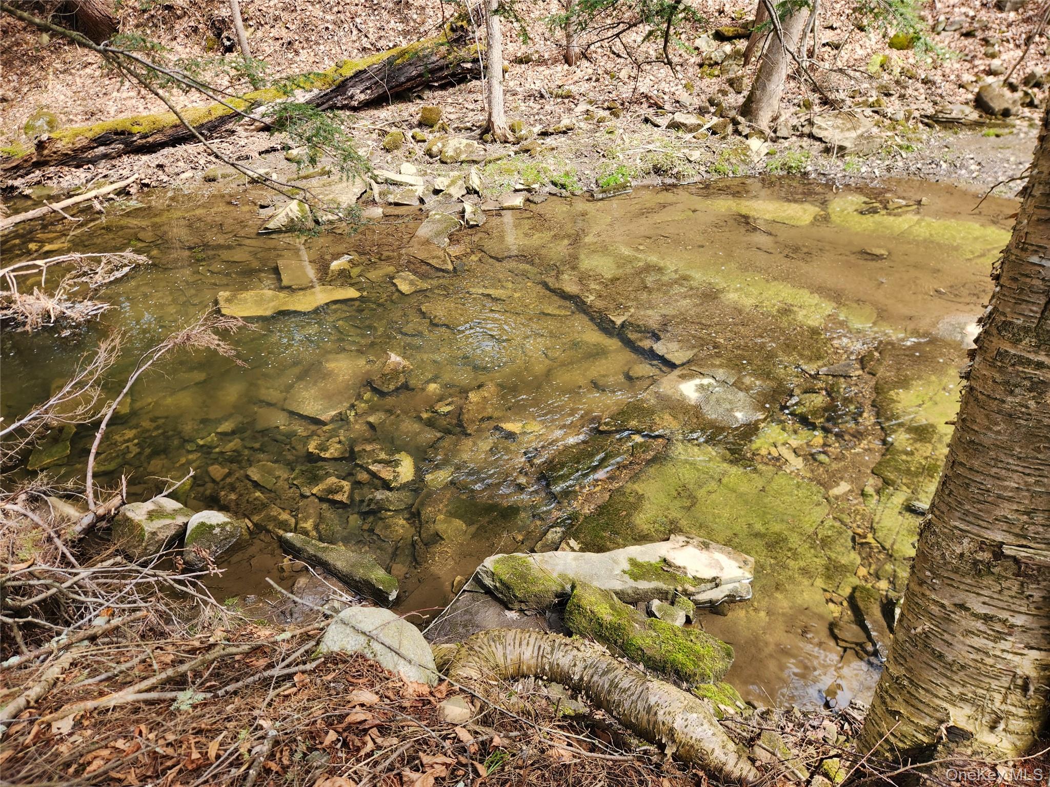 #5 photo, Moyer Rd, Other , NY 12166