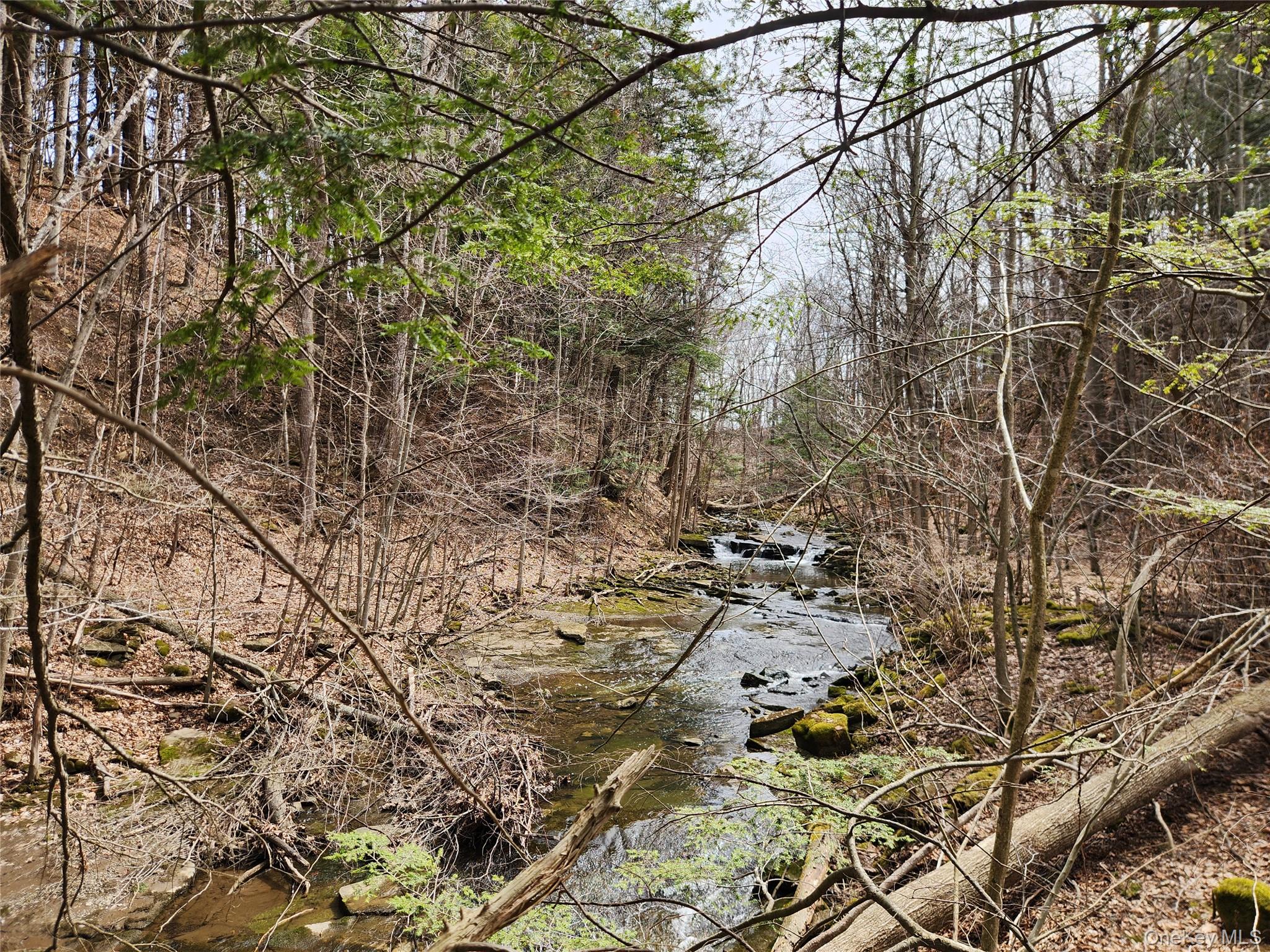 #6 photo, Moyer Rd, Other , NY 12166