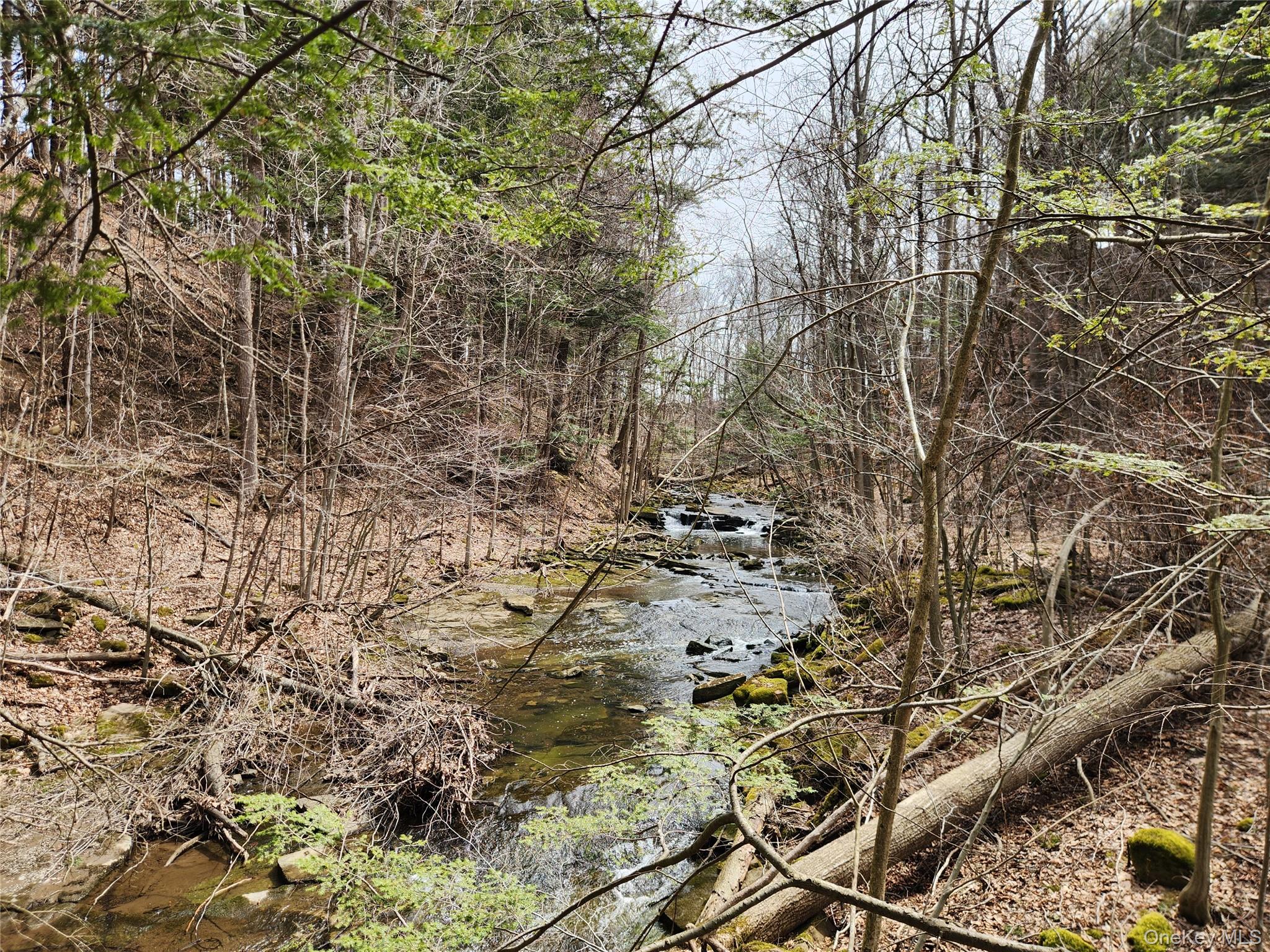 #8 photo, Moyer Rd, Other , NY 12166