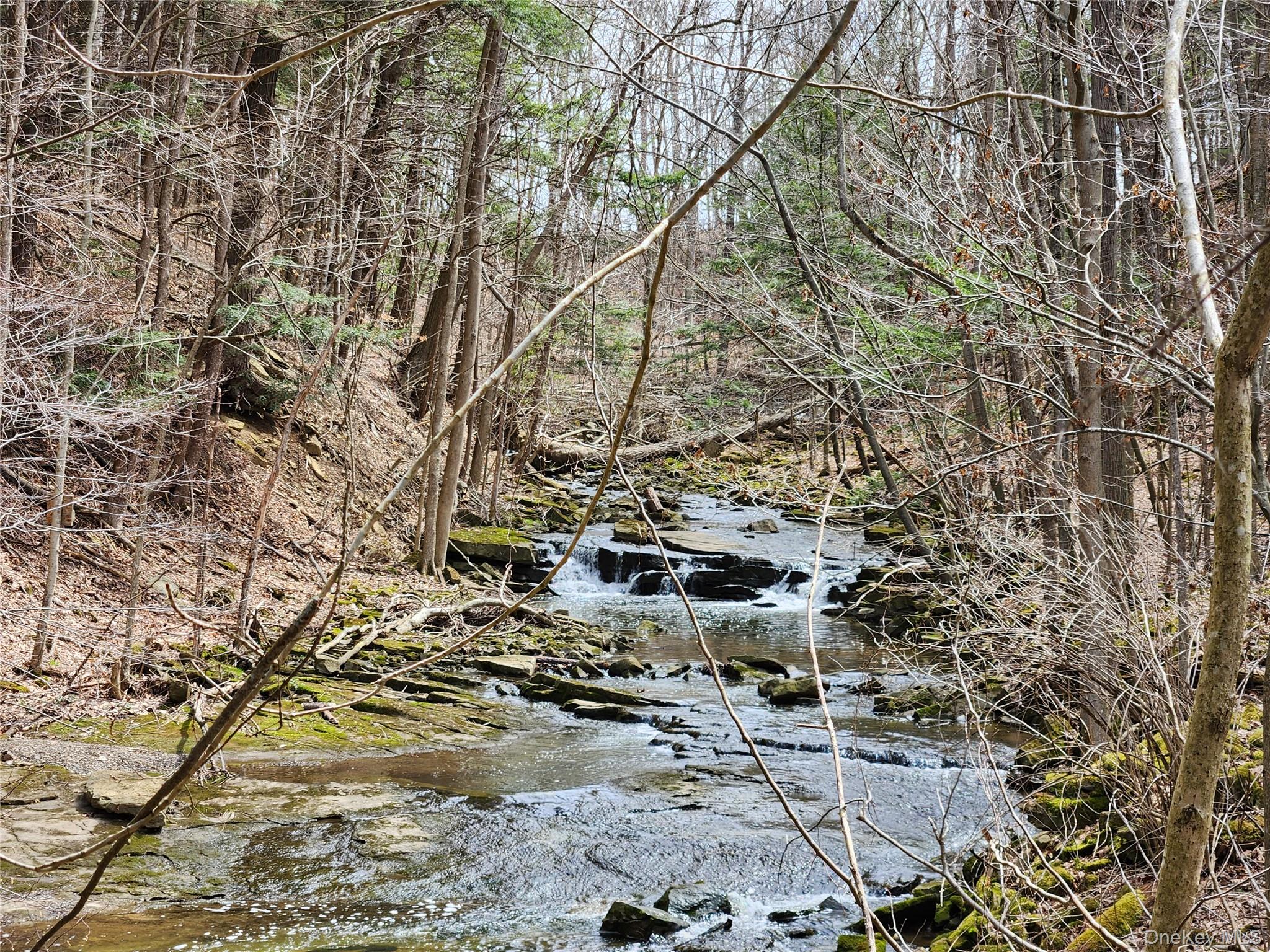 #9 photo, Moyer Rd, Other , NY 12166