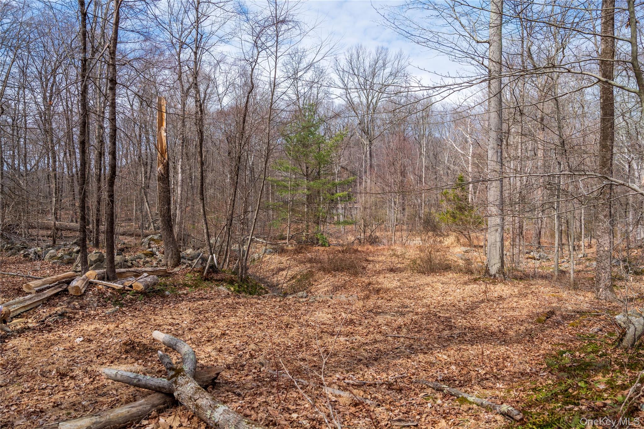 #11 photo, 32 Joshua Hobby Lane, Pound Ridge , NY 10576