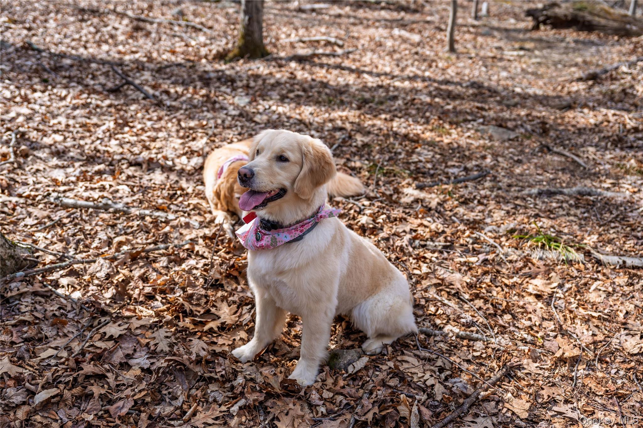 #16 photo, 32 Joshua Hobby Lane, Pound Ridge , NY 10576