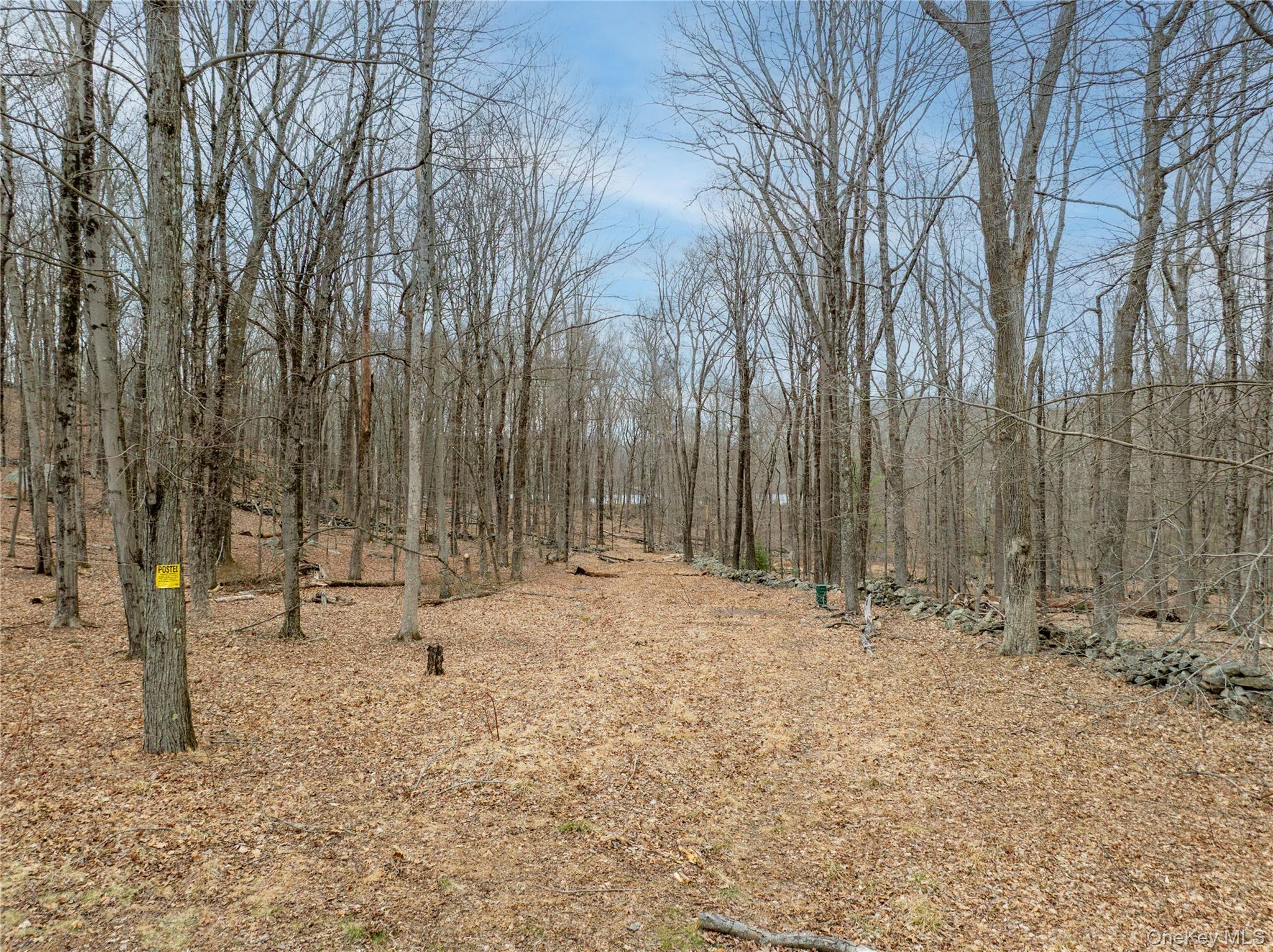 #2 photo, 32 Joshua Hobby Lane, Pound Ridge , NY 10576