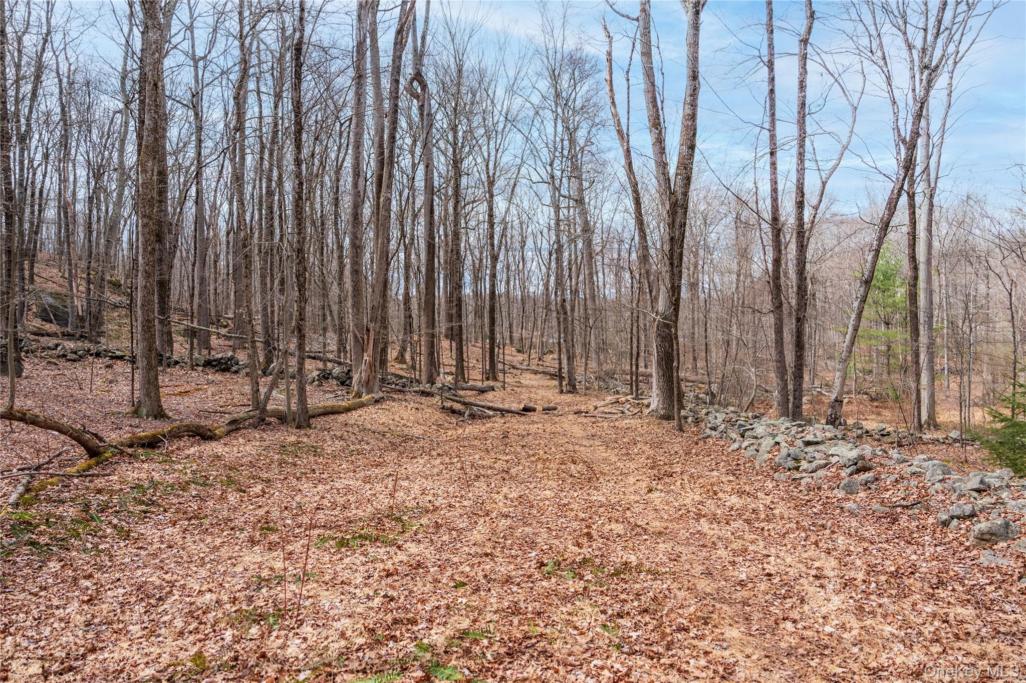 #5 photo, 32 Joshua Hobby Lane, Pound Ridge , NY 10576