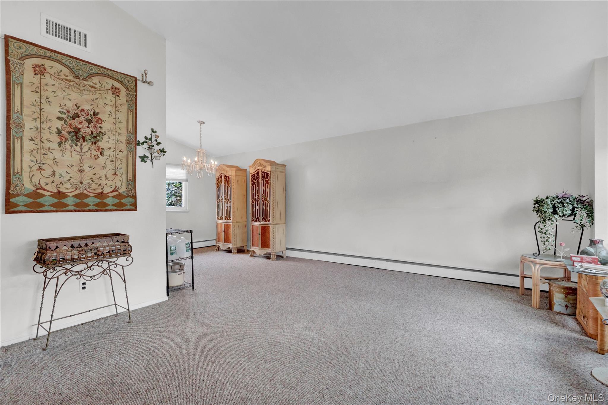 #5 photo, 213 W 24th Street, Deer Park , NY 11729