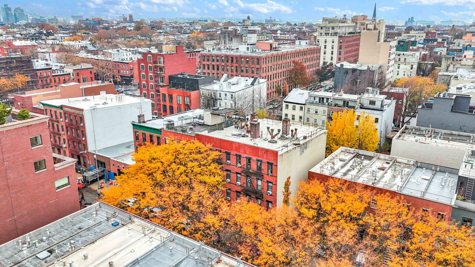 #48 photo, 96 & 98 Baltic St, ブルックリン区 Columbia Street Waterfront District , NY 11201