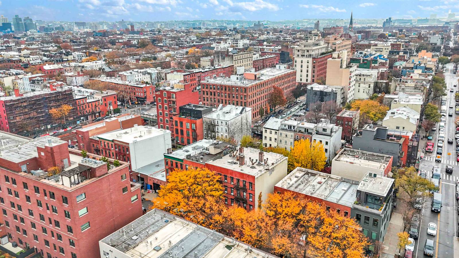 #50 photo, 96 & 98 Baltic St, ブルックリン区 Columbia Street Waterfront District , NY 11201